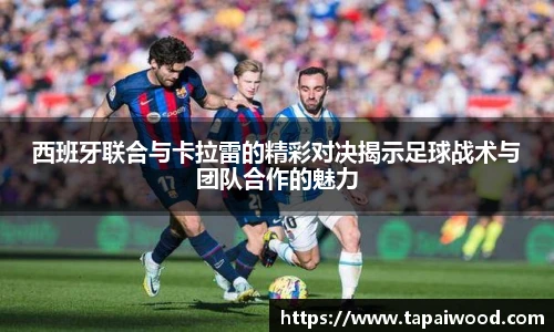 Vsports官网